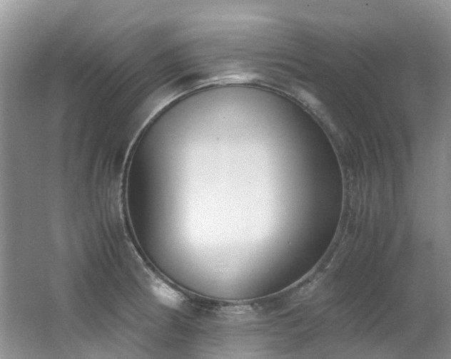 X0000062671186200512211327