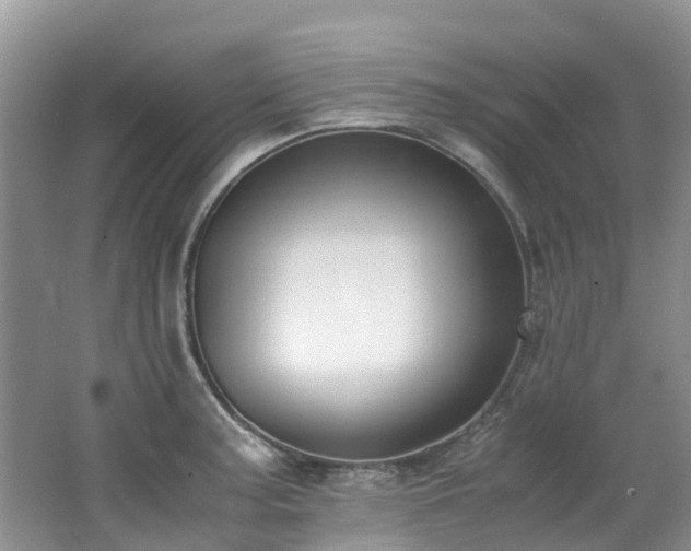 X0000062671187200512211327