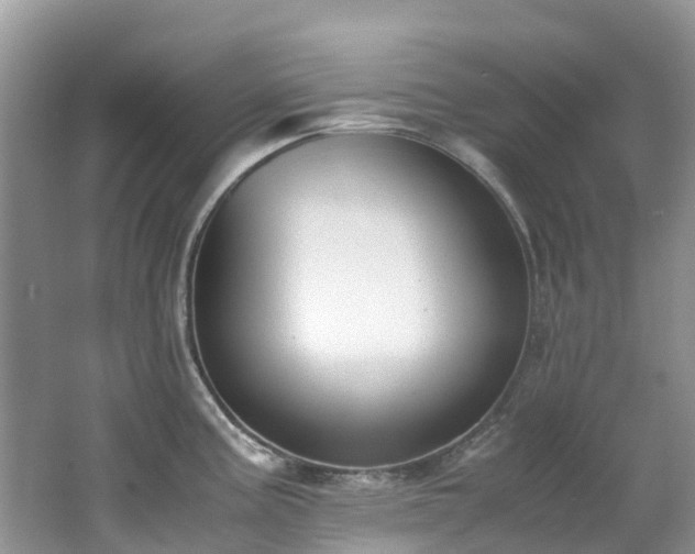 X0000062671195200512211327