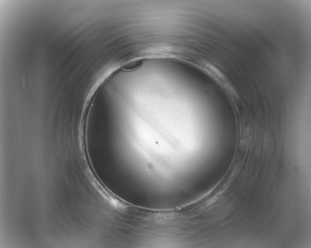 X0000062671196200512211327