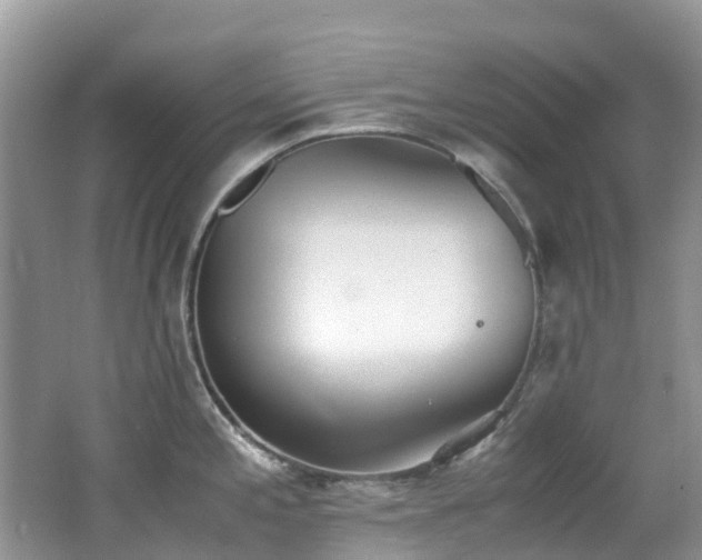 X0000062671197200512211327