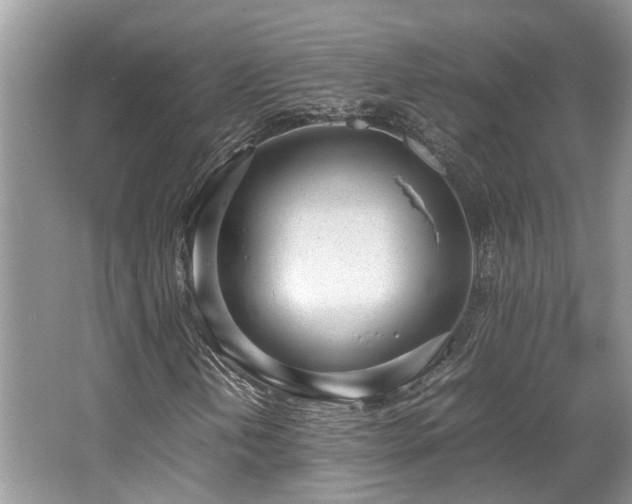 X0000062671202200512211326