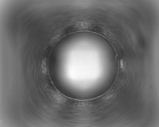 X0000062671203200512211326