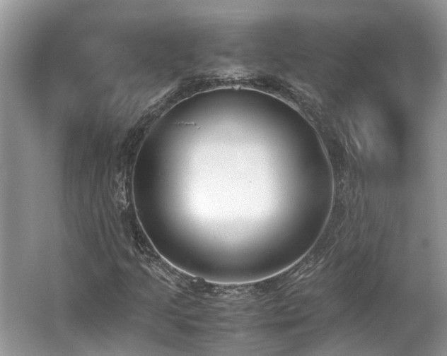 X0000062671205200512211326