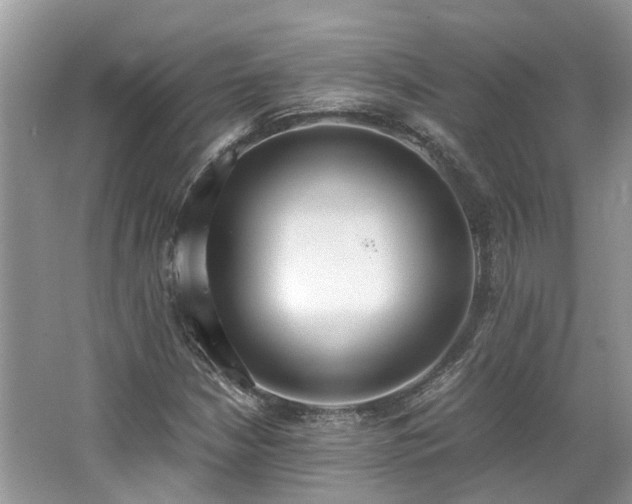 X0000062671210200512211326