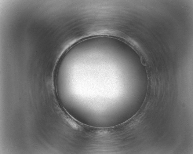 X0000062671230200512211326