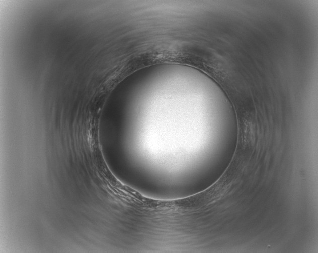 X0000062671250200512211326