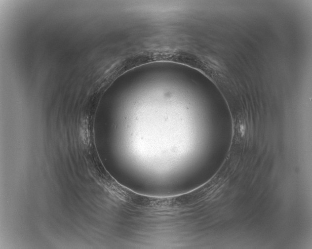 X0000062671252200512211326