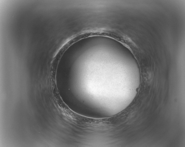 X0000062671256200512211325