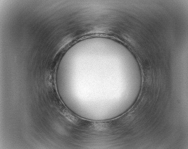 X0000062671258200512211325