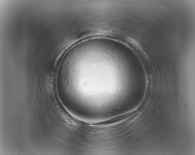 X0000062671260200512211325