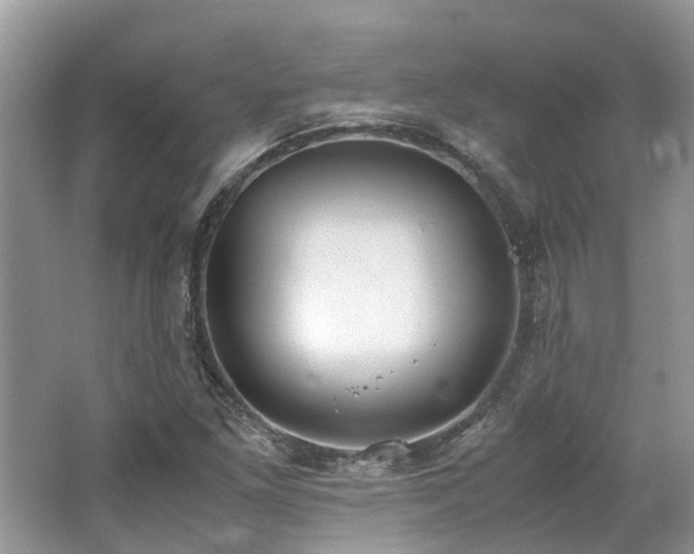 X0000062671261200512211325