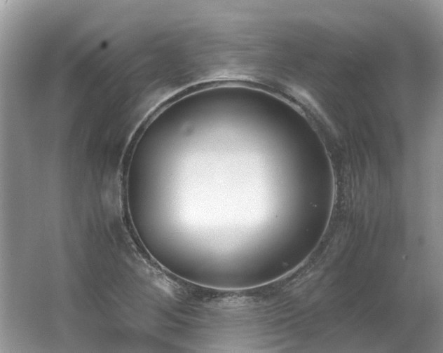 X0000062671268200512211325
