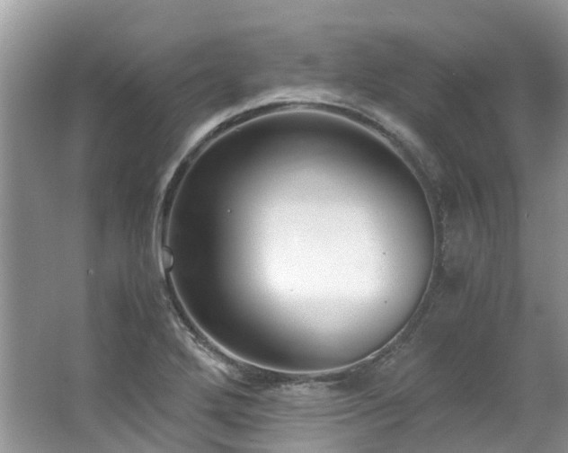 X0000062671272200512211325
