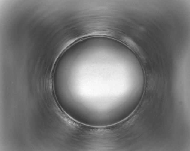 X0000062671284200512211325