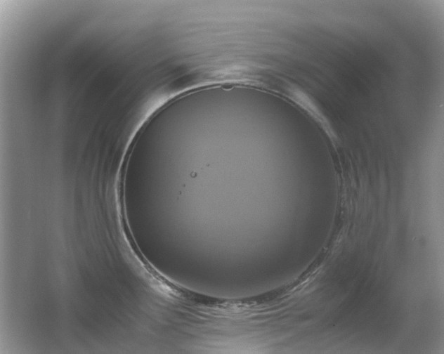 X0000062671291200512211325