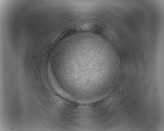 X0000062671297200512211324