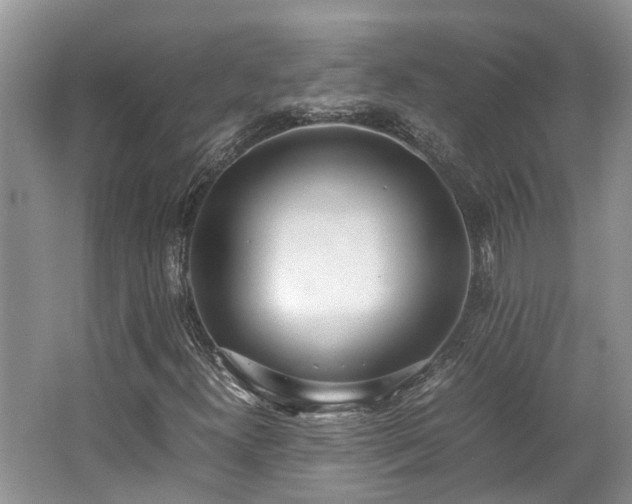 X0000062671300200512211324