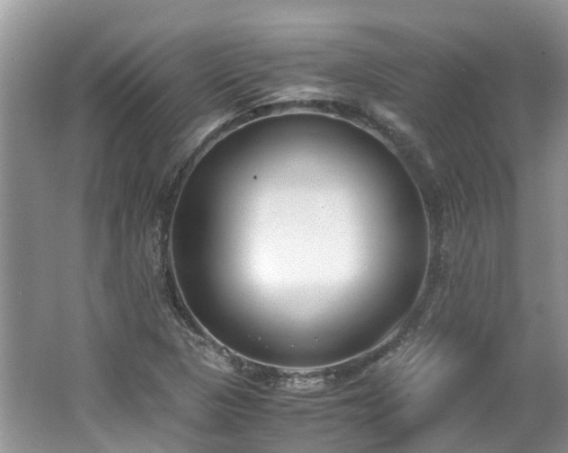 X0000062671313200512211324