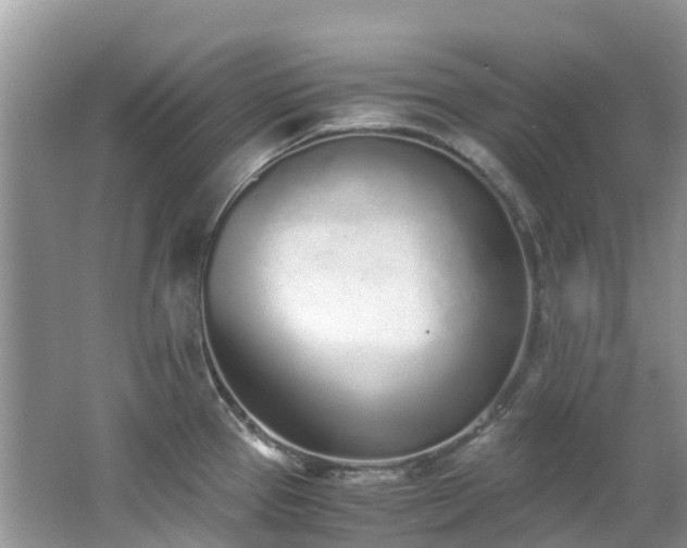 X0000062671337200512211325