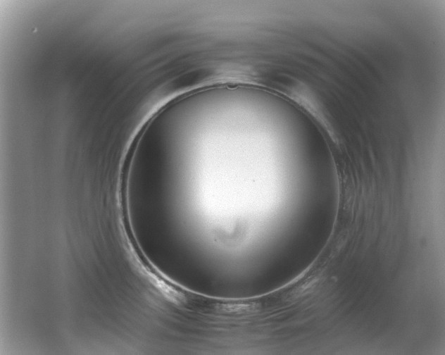 X0000062671339200512211325