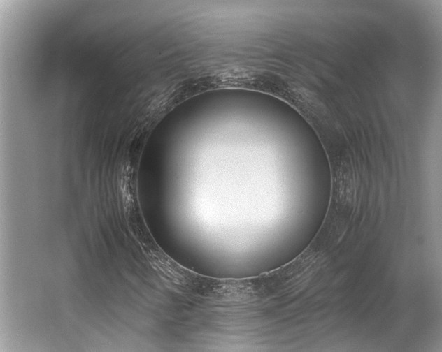 X0000062671346200512211324