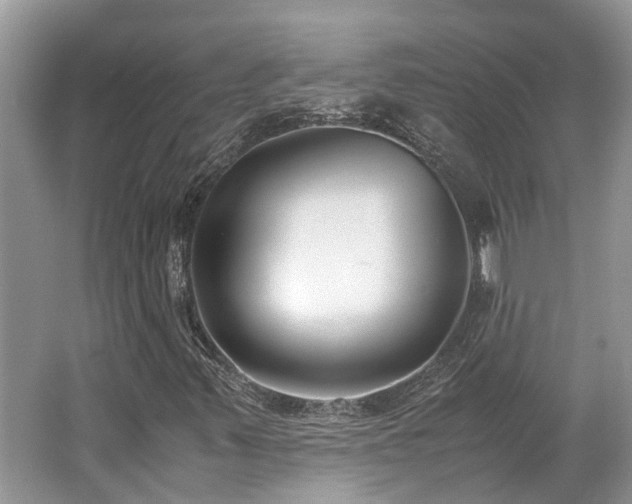 X0000062671347200512211324