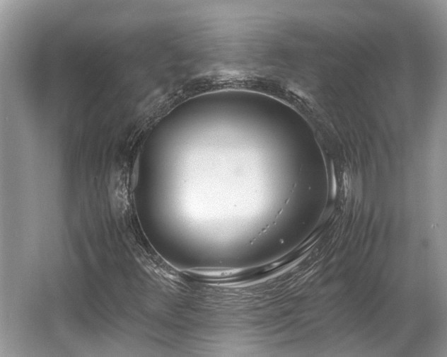 X0000062671348200512211324