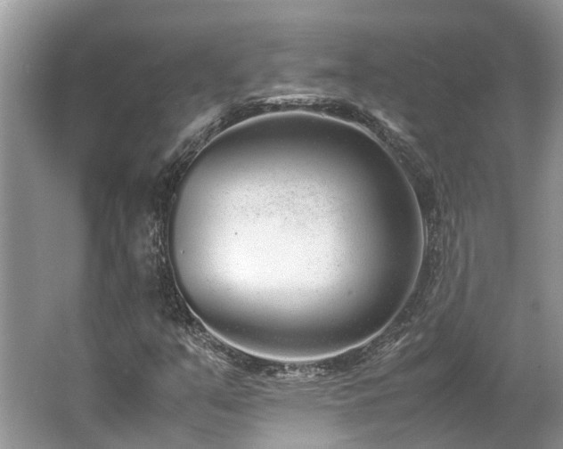X0000062671351200512211324