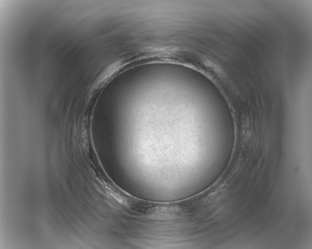 X0000062671354200512211324