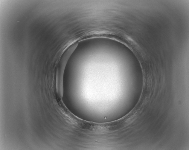 X0000062671361200512211324