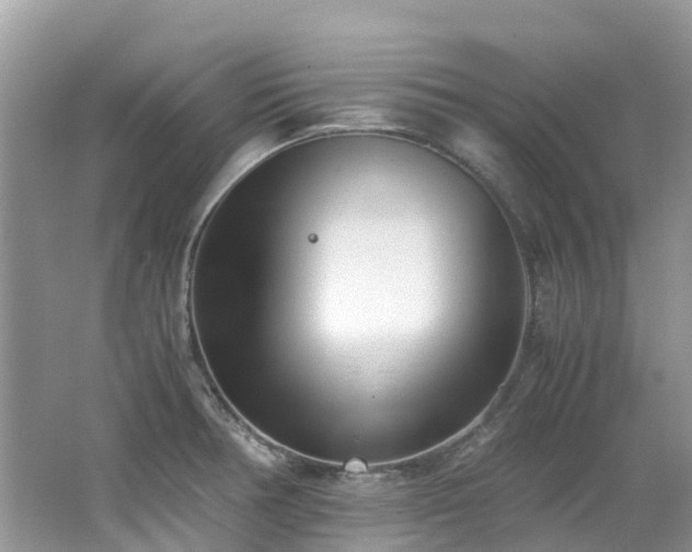 X0000062671378200512211323