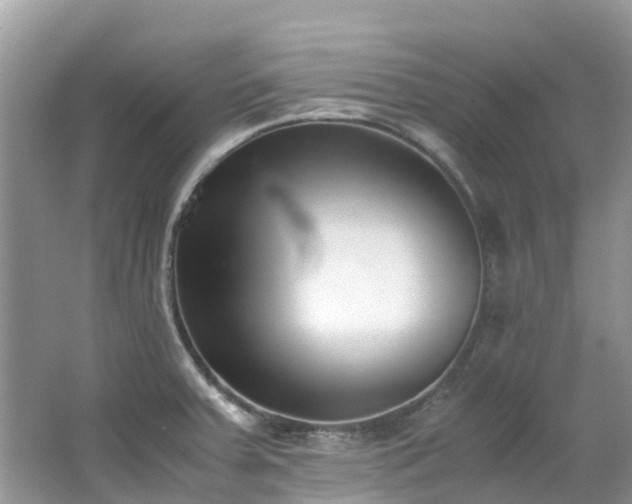 X0000062671379200512211323