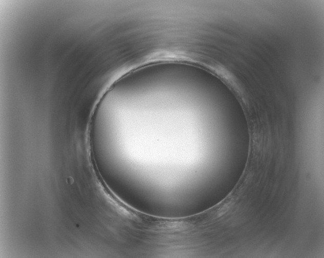 X0000062671382200512211323