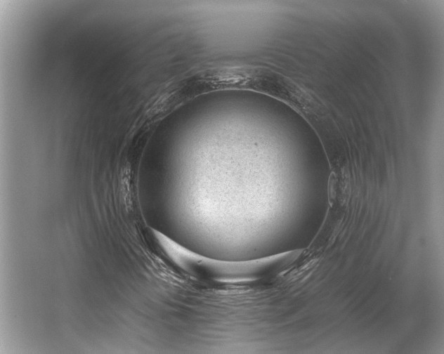 X0000062671394200512211322