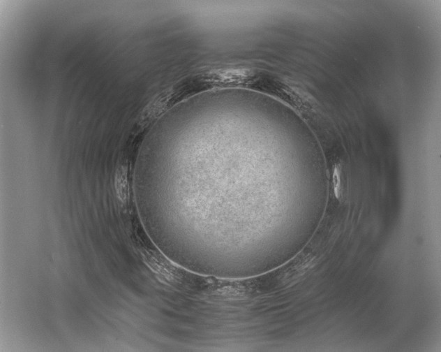 X0000062671395200512211322