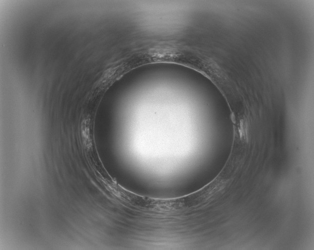 X0000062671396200512211322
