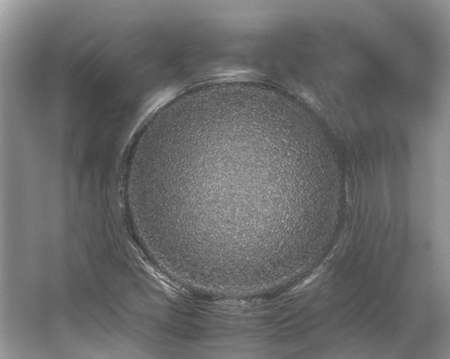 X0000062671405200512211322