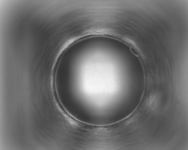 X0000062671424200512211323