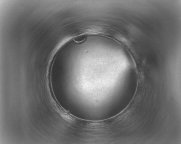 X0000062671427200512211323