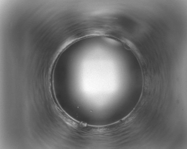 X0000062671435200512211323