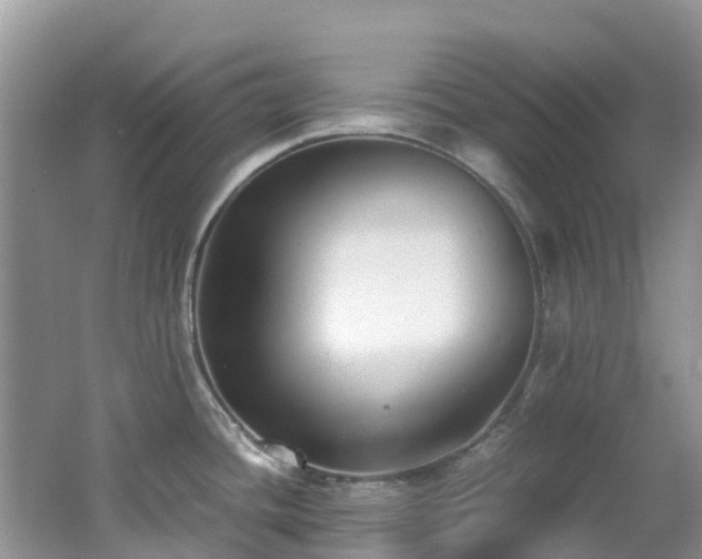 X0000062671436200512211323