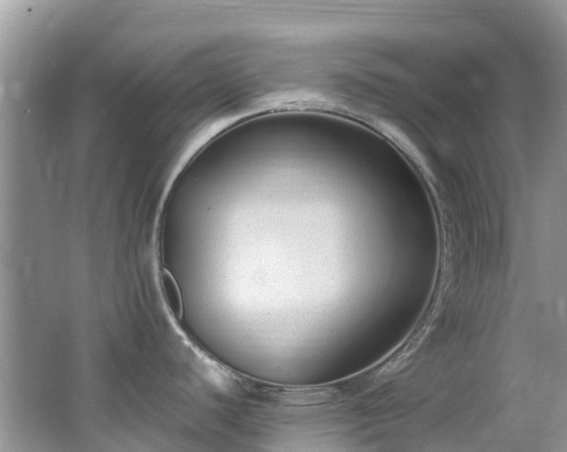 X0000062671440200512211323