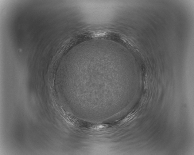 X0000062671441200512211322