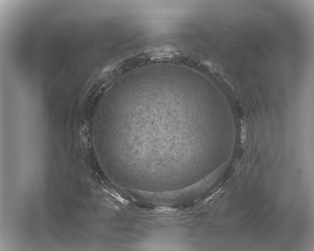 X0000062671445200512211322
