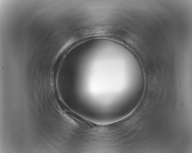 X0000062671450200512211322