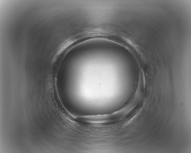 X0000062671453200512211322