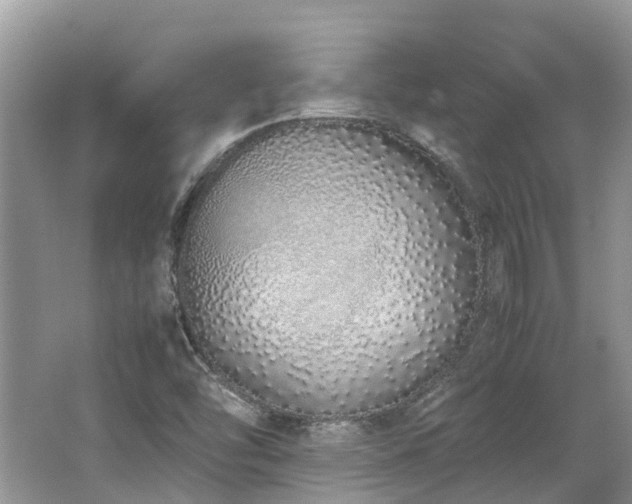 X0000062671454200512211322