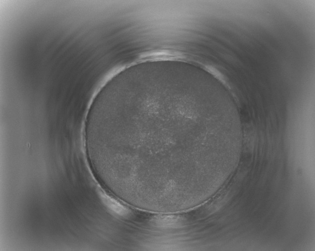 X0000062671474200512211322