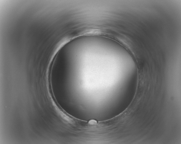 X0000062671475200512211322